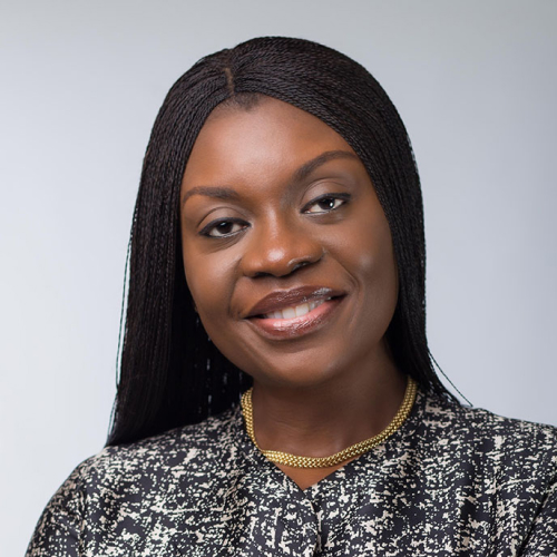 Dr Anino Emuwa – Building an International Brand and Networking for Global Visibility